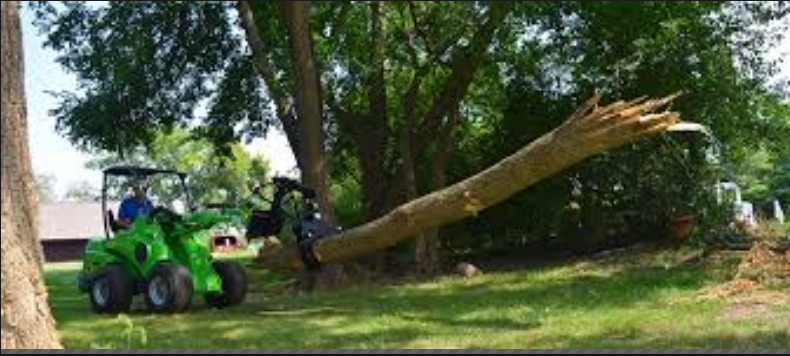 A M Landscaping LLC Image